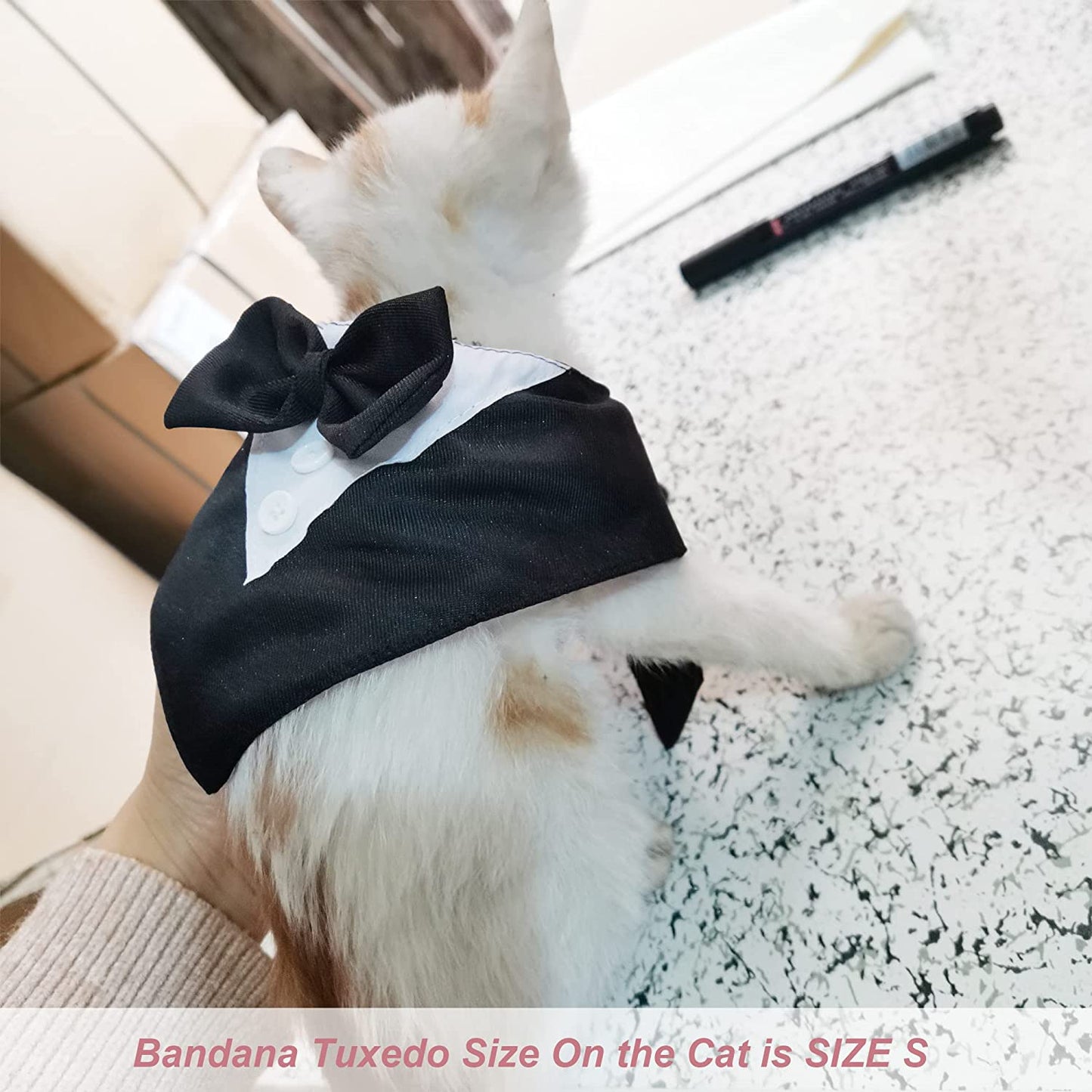 Dog Tuxedo for Small Dogs, KOOLMOX Formal Dressy Suit Dog Bandana Collar with Bowtie, Dog Wedding Attire Male Boy Pet Tux Outfit Dress Dog Birthday Tuxedo Puppy Cat Dog Formal Wear (S, Black) Animals & Pet Supplies > Pet Supplies > Dog Supplies > Dog Apparel Koolmox