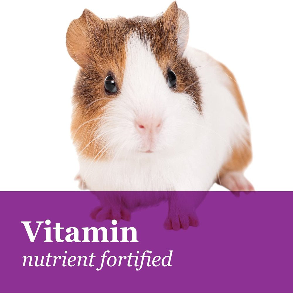F.M. Brown'S Tropical Carnival Gourmet Guinea Pig Food with Alfalfa and Timothy Hay Pellets - Vitamin-Nutrient Fortified Daily Diet - 5Lb Animals & Pet Supplies > Pet Supplies > Small Animal Supplies > Small Animal Food Brown's