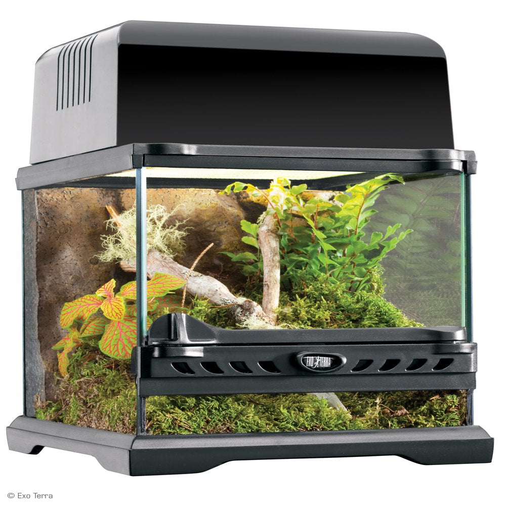 Exo Terra Nano Glass Terrarium Reptile Habitat - 8In X 8In X 8In Animals & Pet Supplies > Pet Supplies > Reptile & Amphibian Supplies > Reptile & Amphibian Habitats Hagen
