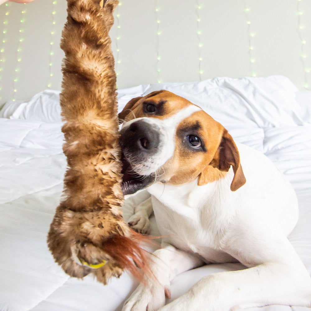 Vibrant Life Cozy Buddy Stuffing-Free Owl Dog Toy, Character May Vary, Chew Level 1 Animals & Pet Supplies > Pet Supplies > Dog Supplies > Dog Toys Wal-Mart Stores, Inc.