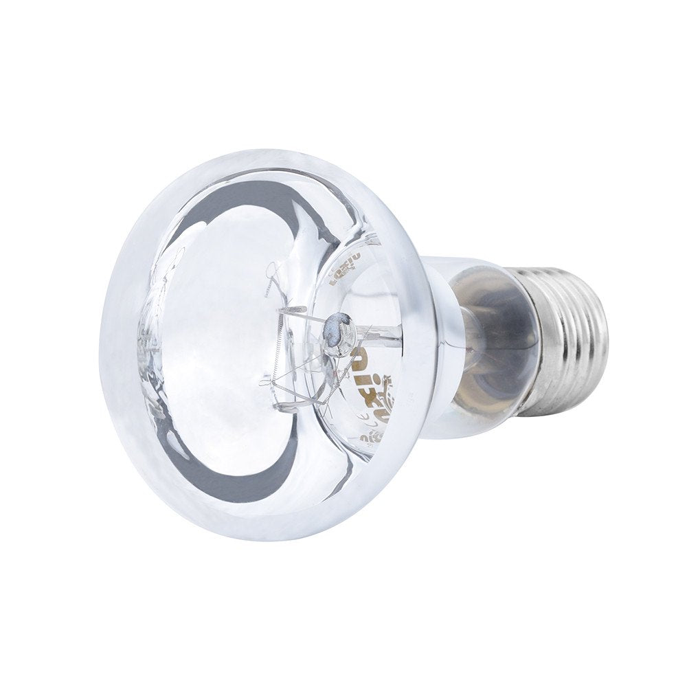 Purcolt Fall Pet Decorations 100W UVA Day Night Amphibian Snake Lamp Heat Reptile Bulb Light 220V Animals & Pet Supplies > Pet Supplies > Reptile & Amphibian Supplies > Reptile & Amphibian Habitat Heating & Lighting purcolt