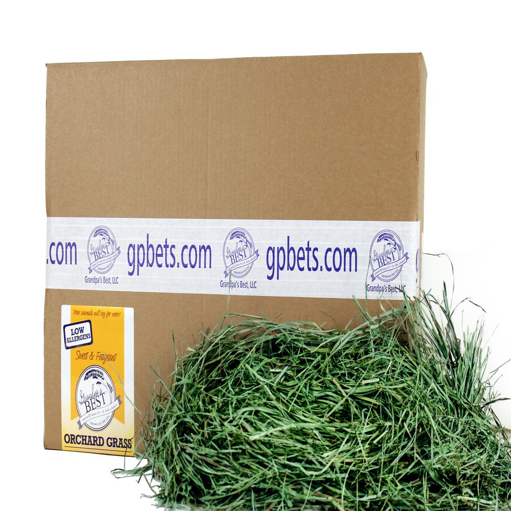 Grandpa'S Best Orchard Grass 5Lb Loose Boxed Hay for Small Animals Animals & Pet Supplies > Pet Supplies > Small Animal Supplies > Small Animal Food Grandpa's Best