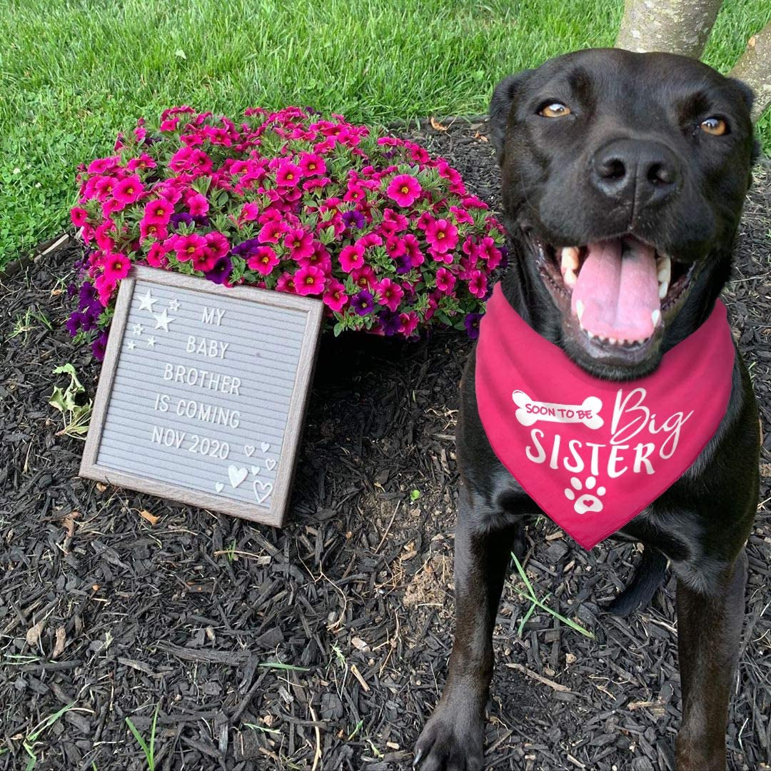 Pawskido Big Sister Dog Bandana,Reversible Triangle Bibs Pet Scarf Animals & Pet Supplies > Pet Supplies > Dog Supplies > Dog Apparel Pawskido