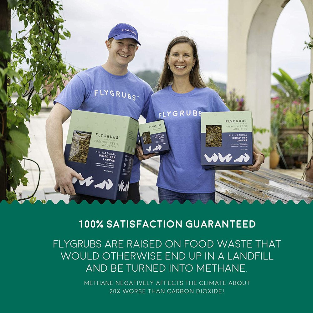 FLYGRUBS Non-Gmo Dried Black Soldier Fly Larvae Chicken Feed, BSF Larvae Treats for Hens, Ducks, Birds, 5 Lbs Animals & Pet Supplies > Pet Supplies > Bird Supplies > Bird Treats Kinggings LLC