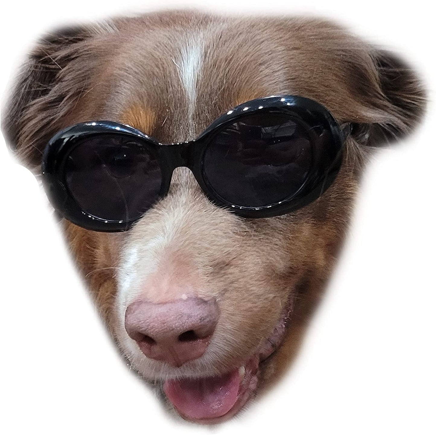 G026 Dog Pet Costume Prop Thick Oval Sunglasses Medium-Large Breeds 25-55Lbs (Red) Animals & Pet Supplies > Pet Supplies > Dog Supplies > Dog Apparel Style Vault Black