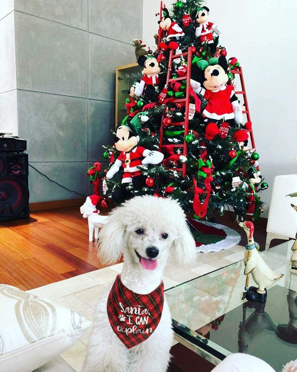 Dog Christmas Scarf, 2 Pack Plaid Pets Bandana Triangle Bibs Kerchief Set Animals & Pet Supplies > Pet Supplies > Dog Supplies > Dog Apparel JPB