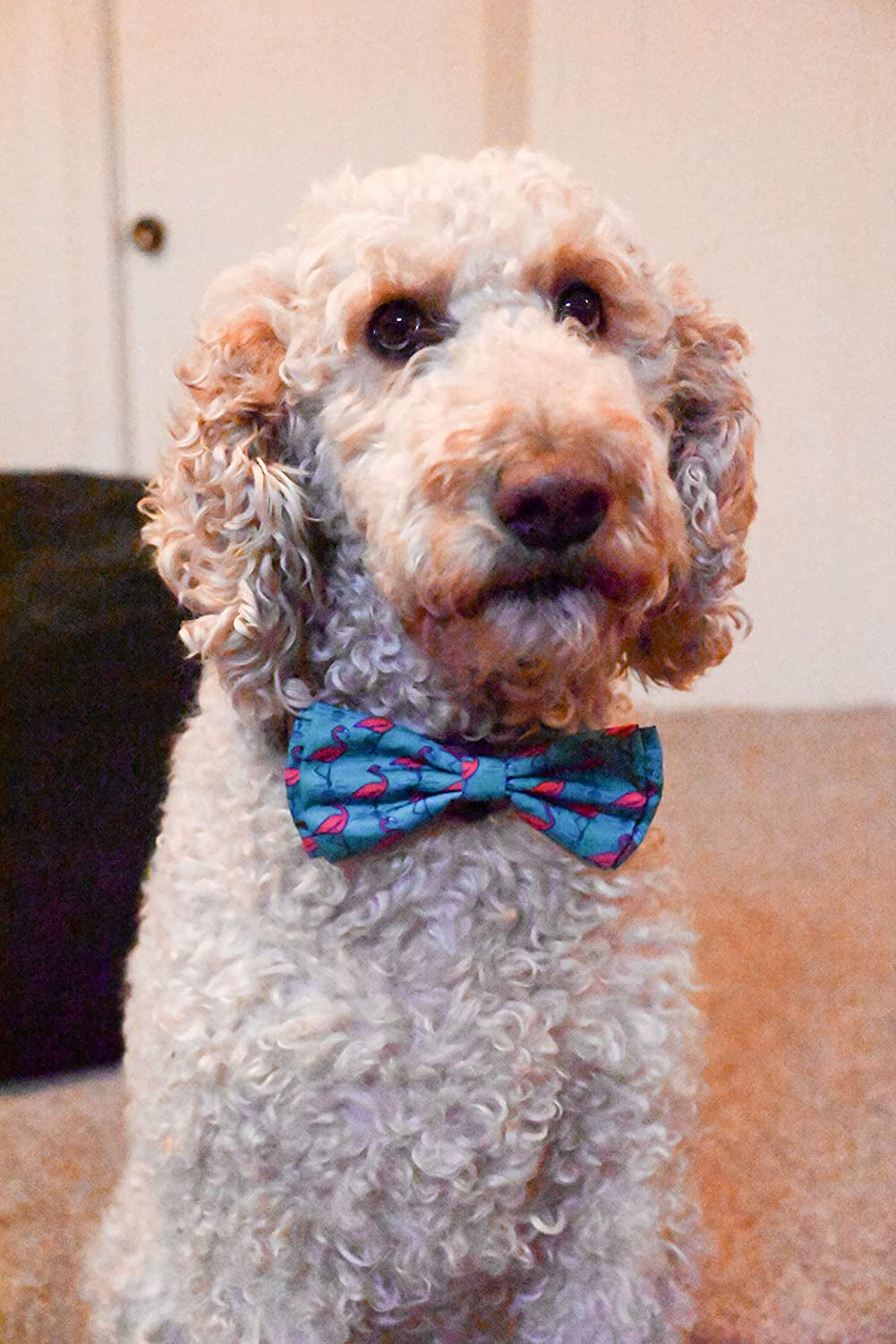 H&K Bow Tie for Pets | Flamingo (Extra-Large) | Velcro Bow Tie Collar Attachment | Fun Bow Ties for Dogs & Cats | Cute, Comfortable, and Durable | Huxley & Kent Bow Tie Animals & Pet Supplies > Pet Supplies > Dog Supplies > Dog Apparel Huxley & Kent