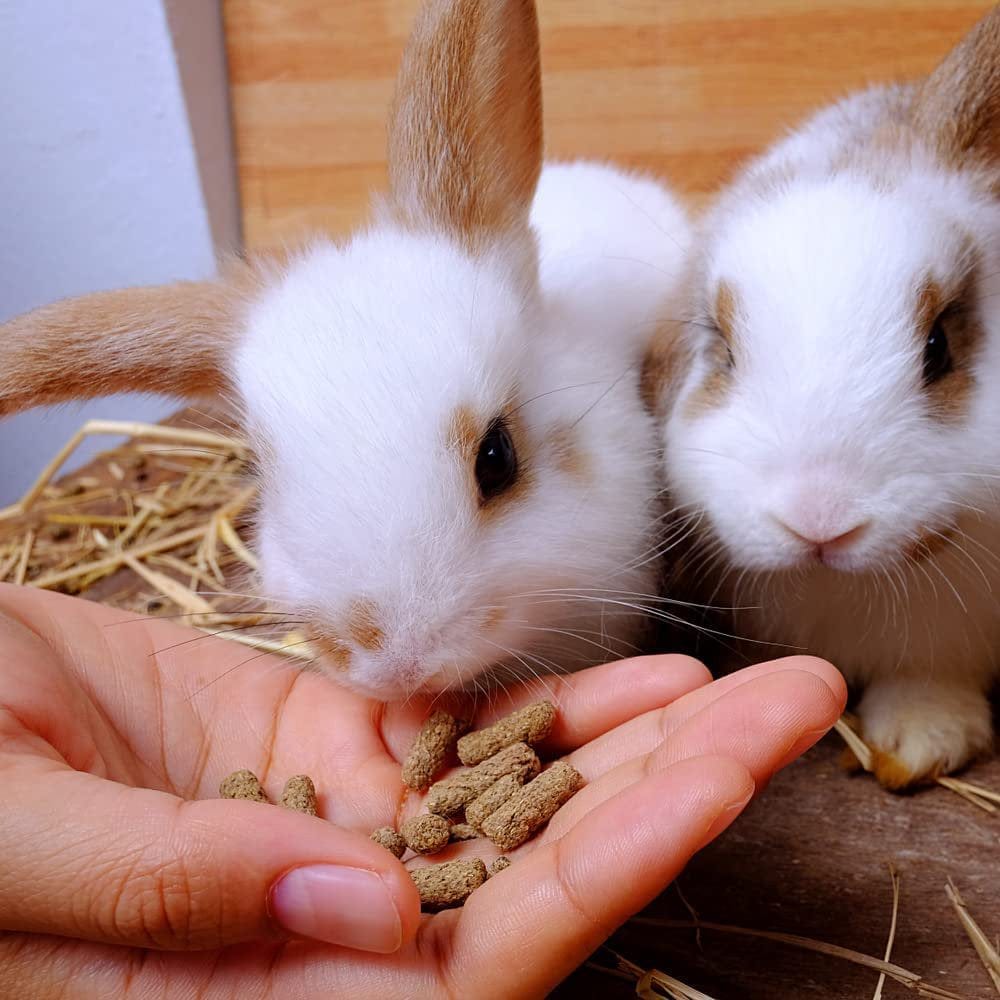 5 Pounds Timothy Complete Rabbit Food Pellets - Great for Small Pets Animals & Pet Supplies > Pet Supplies > Small Animal Supplies > Small Animal Food Czgrain