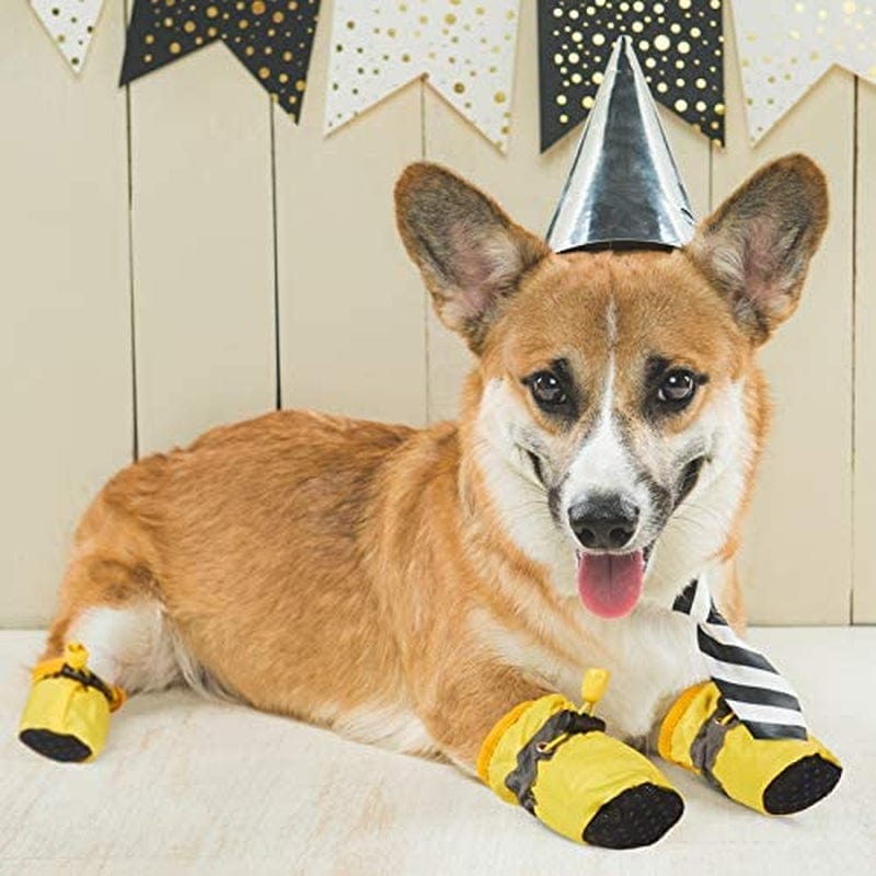 5 Sets 20 Pieces Dog Boots Paw Protectors Anti-Slip Dog Sock Shoes Waterproof Dog Boots with Adjustable Fastening Straps for Pets Dogs (Small Size) Animals & Pet Supplies > Pet Supplies > Dog Supplies > Dog Apparel Weewooday