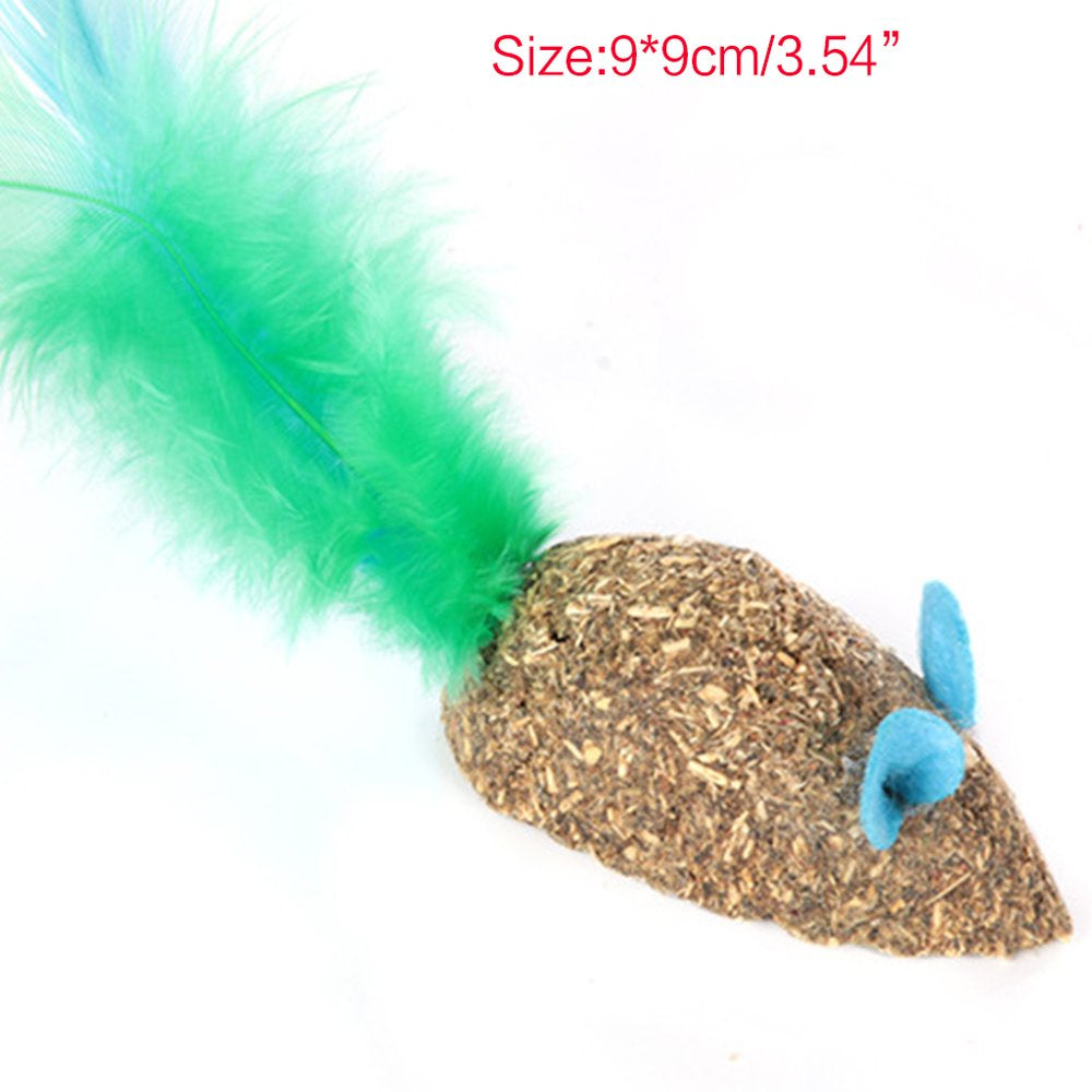 Edible Kitty Toys for Cats Teeth Cleaning Natural Safe Healthy Treats Toys Gift Animals & Pet Supplies > Pet Supplies > Cat Supplies > Cat Treats CHANCELAND