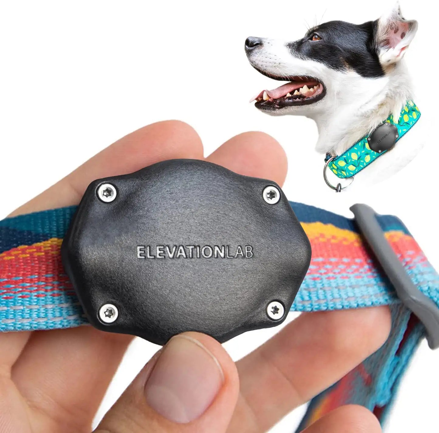 Tagvault Pet: the Waterproof Collar Mount for Apple Airtag, Ultra-Durable, Fits All Width Collars Electronics > GPS Accessories > GPS Cases Elevation Lab 4-Pack