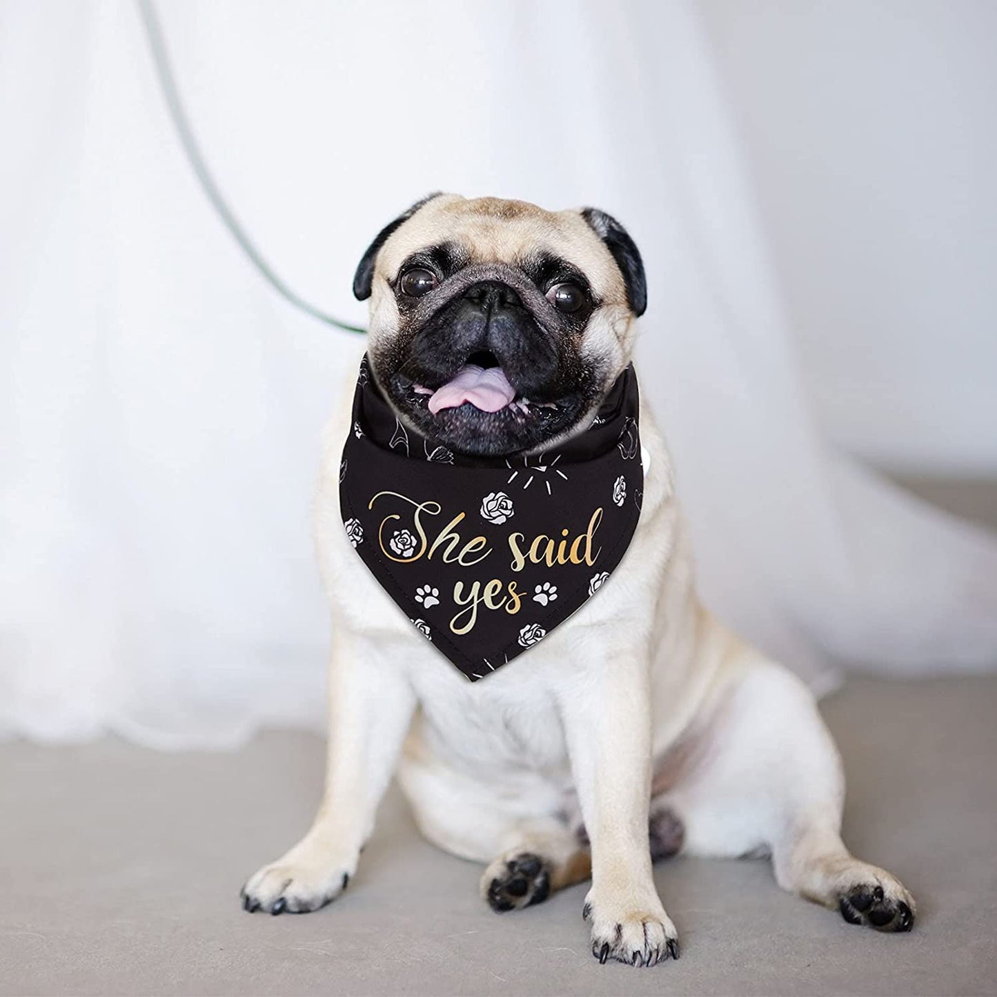 Frienda 4 Pieces Wedding Dog Bandana My Humans Are Getting Married Pet Bandana She Said Yes Dog Scarf Dog Engagement Announcement Pet Wedding Photo Prop for Dogs and Cats Animals & Pet Supplies > Pet Supplies > Dog Supplies > Dog Apparel Frienda