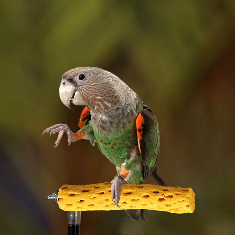 BESTHUA Bird Grinding Chewing Bar | Paw Grinding Toy | Birdcage Accessory for Bird, Parrot, Budgies, Parakeet, Cockatiels Cage Accessories Animals & Pet Supplies > Pet Supplies > Bird Supplies > Bird Cage Accessories BESTHUA