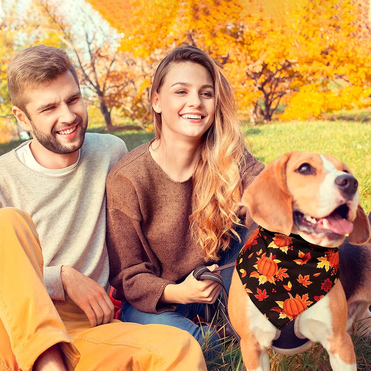 12 Pieces Thanksgiving Pet Bandana Fall Dog Bandanas Dog Fall Clothes Accessories Maple Leaf Pumpkin Patterned Autumn Pet Triangle Scarf Bibs for Large Small Dog Kerchief Cat Pet Fall Outfit Washable Animals & Pet Supplies > Pet Supplies > Dog Supplies > Dog Apparel Xuniea