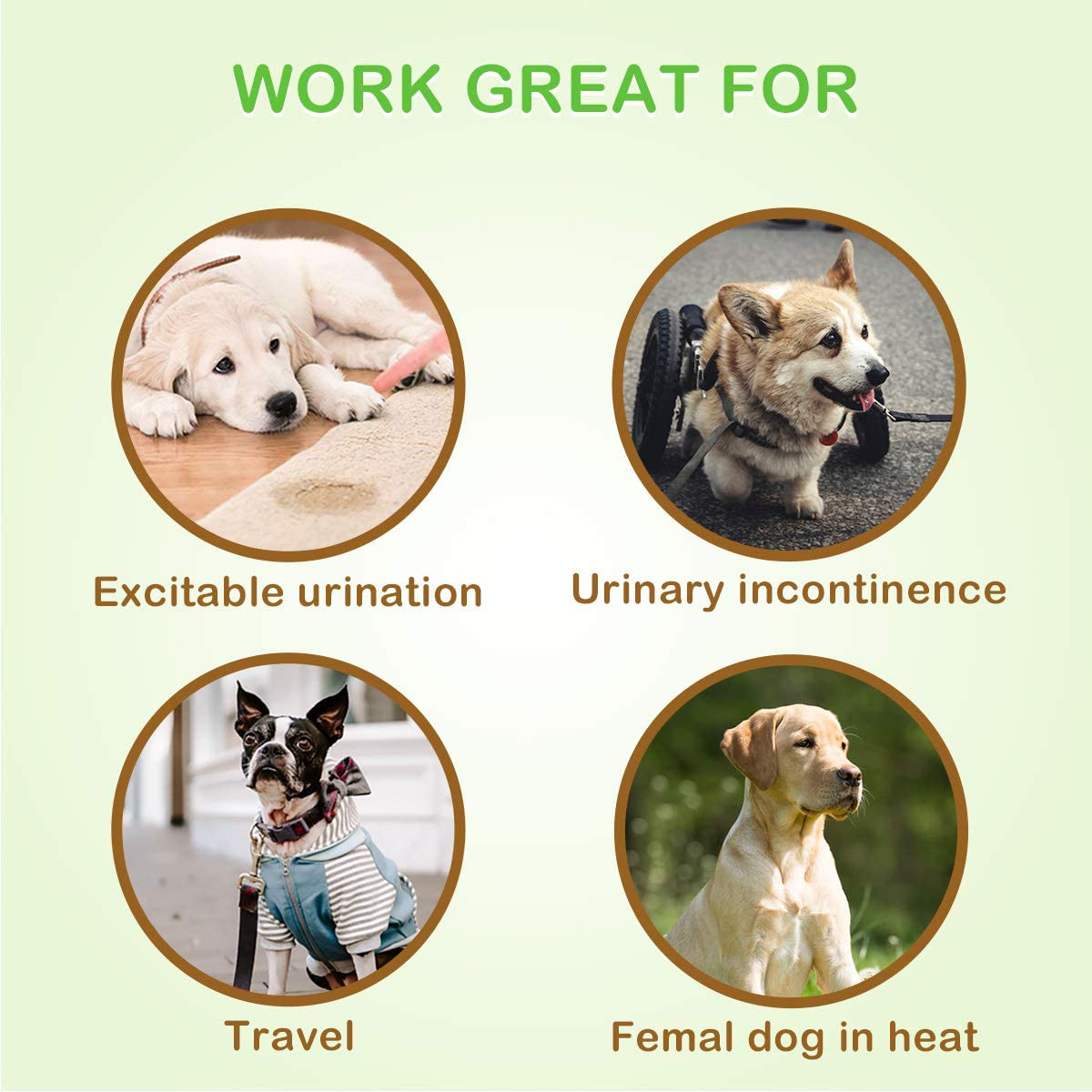 Pet Soft Disposable Female Puppy Dog Diaper 12-72Pcs Animals & Pet Supplies > Pet Supplies > Dog Supplies > Dog Diaper Pads & Liners Pet Soft