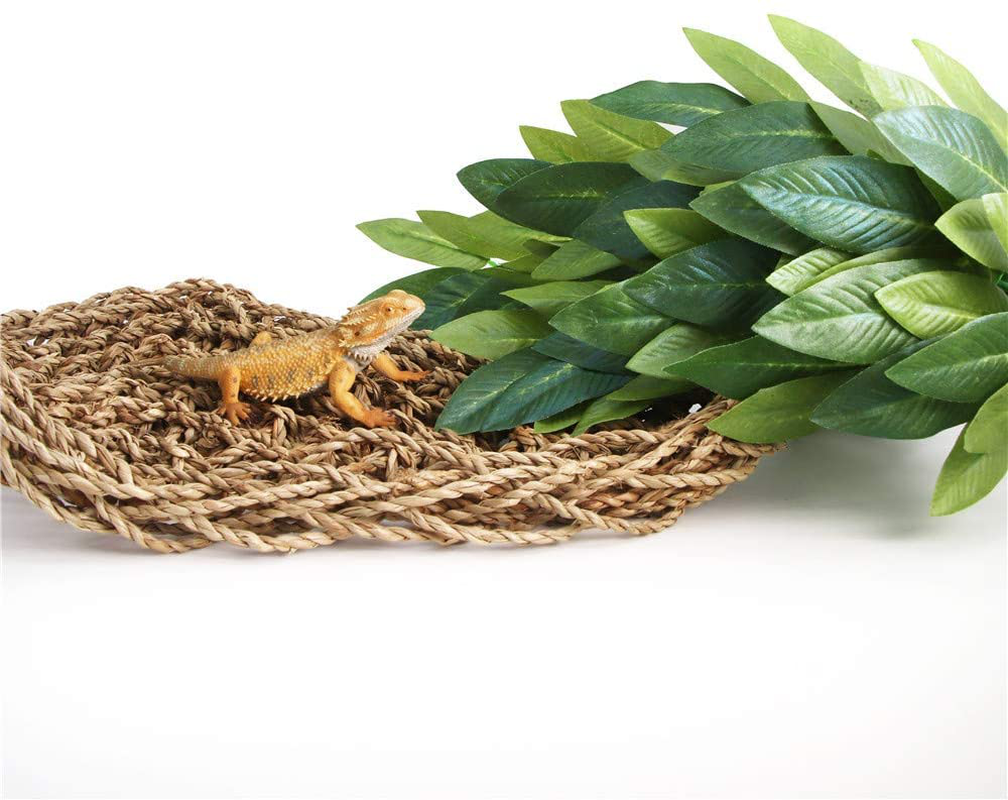 Reptile Plants Hanging Silk Terrarium Plant with Suction Cup for Bearded Dragons,Lizards,Geckos,Snake Pets and Hermit Crab Tank Habitat Decorations,Small Size,12 Inches Green Animals & Pet Supplies > Pet Supplies > Reptile & Amphibian Supplies > Reptile & Amphibian Habitat Accessories SLSON