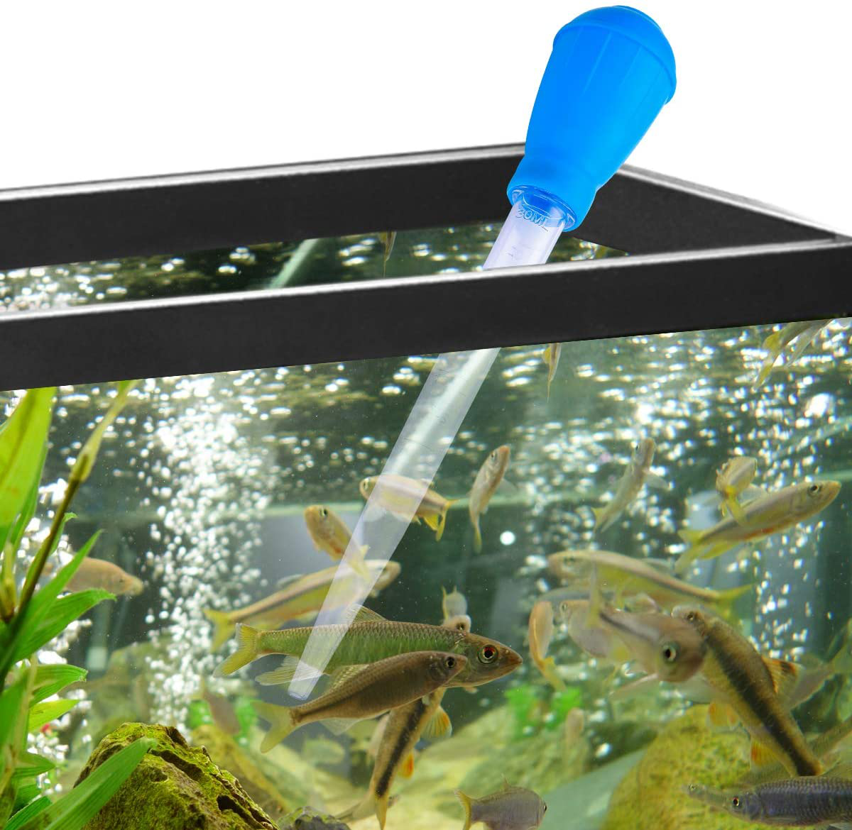 QXUJI Fish Tank Water Changer Aquarium Droppers, Aquarium Clean Pipette Dropper, 11.02 Inch Fish Tank Cleaning Waste Remover, Coral Feeder SPS HPS Feeder Animals & Pet Supplies > Pet Supplies > Fish Supplies > Aquarium Cleaning Supplies QXUJI