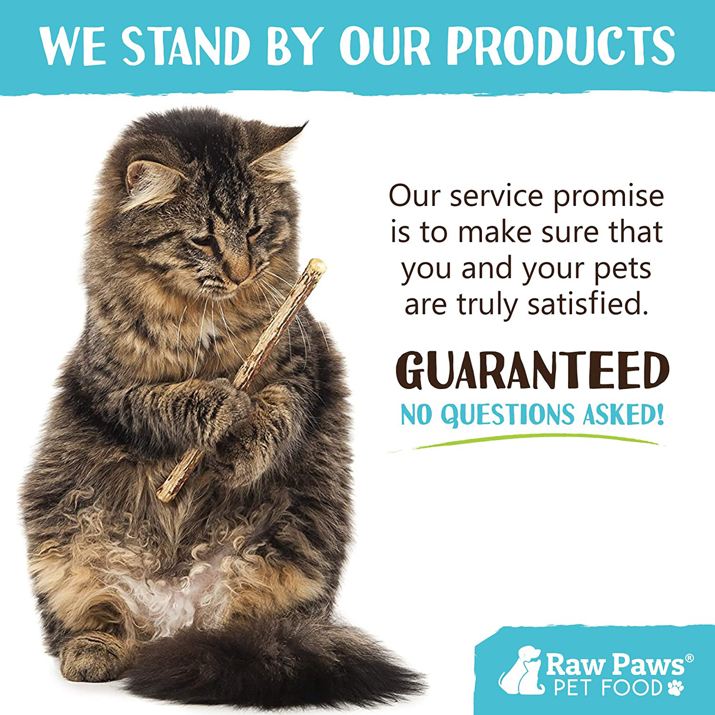 Raw Paws Natural Matatabi Cat Stick Treat - Unprocessed, Safe & Healthy - Cat Silvervine Sticks for Cats of All Ages - Natural Catnip Chew Sticks - Silvervine Cat Toy - Catnip Sticks for Cats Animals & Pet Supplies > Pet Supplies > Cat Supplies > Cat Toys Raw Paws