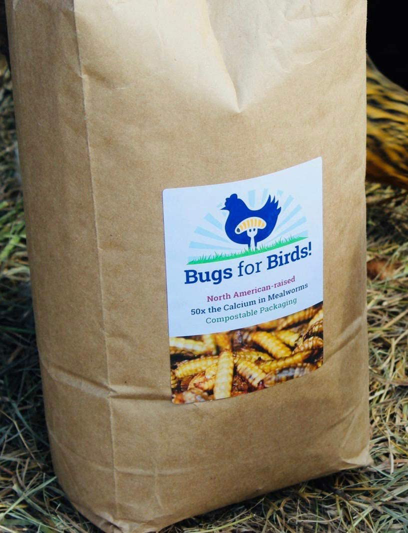 NORTH AMERICAN-RAISED Bugs for Birds! Better than Mealworms - Dried BSF Larvae - Natural Chicken Feed Supplement / Wild Bird Treats - for Healthy Eggs and Feathers! Animals & Pet Supplies > Pet Supplies > Bird Supplies > Bird Treats Bugs for Birds!   