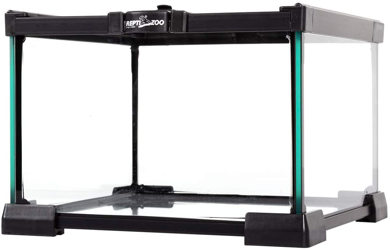 REPTI ZOO Mini Reptile Glass Terrarium Tank Full View Visually Appealing Reptile Glass Habitat Cage 8" X 8"X 6" Animals & Pet Supplies > Pet Supplies > Reptile & Amphibian Supplies > Reptile & Amphibian Habitats REPTI ZOO