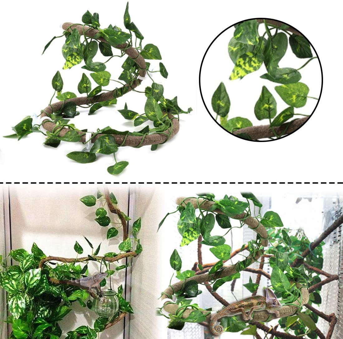 PINVNBY Bearded Dragon Tank Accessories,Reptiles Resin Human Skull Habitat Decor,Lizard Hammock Coconut Shell Hut Hideouts Cave Jungle Climber Vines Leaves Decorations for Chameleon Snake Spider Gecko Animals & Pet Supplies > Pet Supplies > Reptile & Amphibian Supplies > Reptile & Amphibian Habitat Accessories PINVNBY