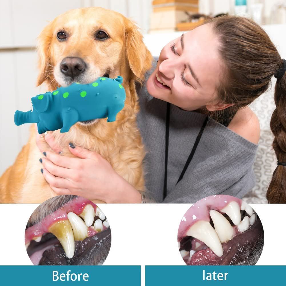 POPLAY Squeaky Pig Dog Toys, Blue Latex Grunting Pig Dog Toy Anxiety Relief for Dog Puppy Chew Toys,Dog Squeeze Toy Animals & Pet Supplies > Pet Supplies > Dog Supplies > Dog Toys POPLAY