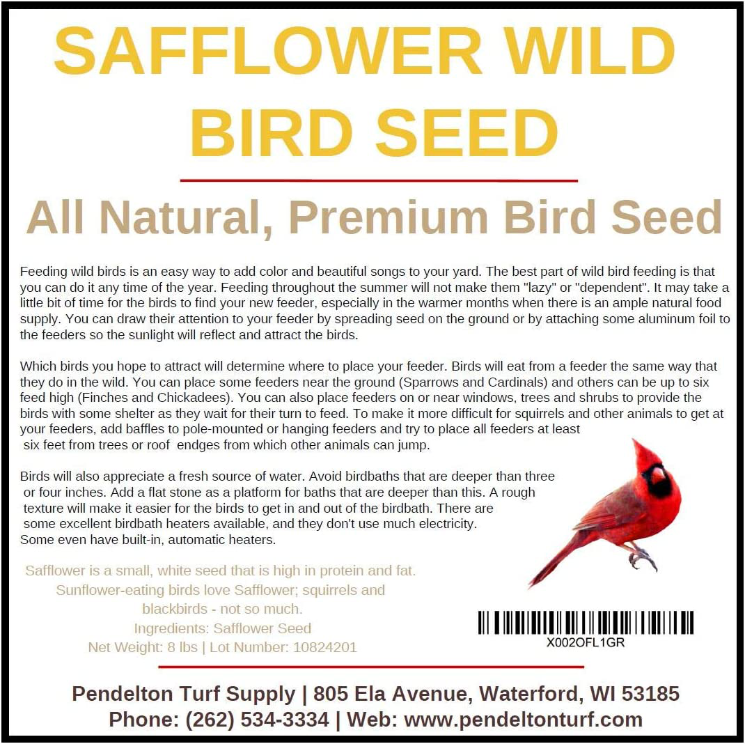 Pendelton Turf Supply Safflower Wild Bird Seed | All-Natural, Premium Bird Seed (8 Lbs Resealable Bag) Animals & Pet Supplies > Pet Supplies > Bird Supplies > Bird Food Pendelton Turf Supply