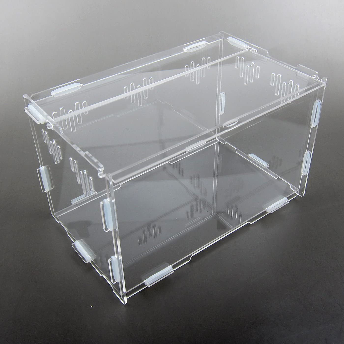 Alfie Pet - Eamon Living Habitat for Reptile - Size: Large Animals & Pet Supplies > Pet Supplies > Small Animal Supplies > Small Animal Habitats & Cages Alfie