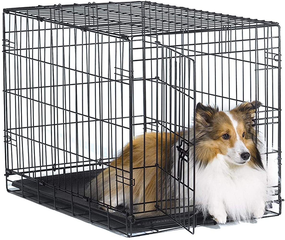 New World Pet Products Folding Metal Dog Crate Single Door Double D KOL PET