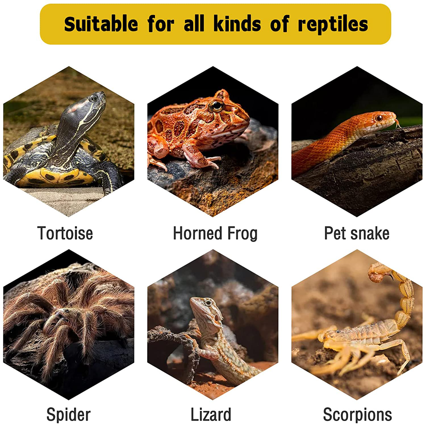 Turtle Basking Platform, Resin Dock Resting Rectangular Aquarium Turtle Tank Decorations, Reptile Habitat Accessories, Reptile Hide Floating Ledge Resting Terrace for Bearded Dragon, Newts, Lizard Animals & Pet Supplies > Pet Supplies > Small Animal Supplies > Small Animal Habitat Accessories Panghuhu88