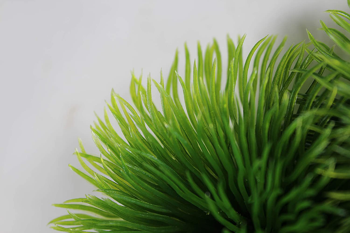 Penn Plax Fish Breeding Grass – Baby Hideout, Safe Hiding for Fry – Decorative Aquarium Grass Animals & Pet Supplies > Pet Supplies > Fish Supplies > Aquarium Decor Penn-Plax