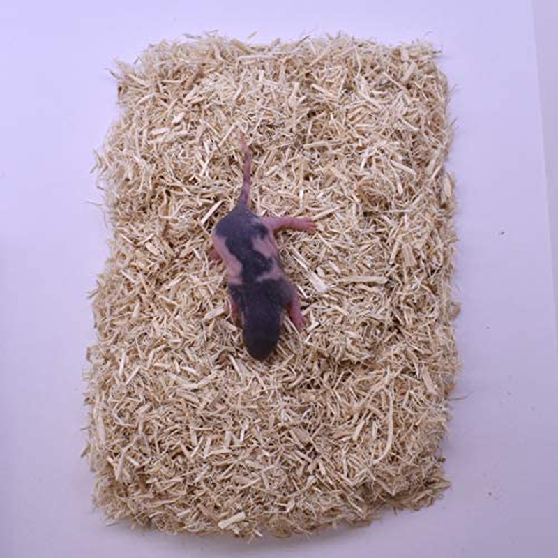 Micedirect 10 Fuzzie Rats: Pack of Frozen Fuzzie Feeder Rats - Food for Corn Snakes, Ball Pythons, Lizards and Other Pet Reptiles - Freshest Snake Feed Supplies Animals & Pet Supplies > Pet Supplies > Reptile & Amphibian Supplies > Reptile & Amphibian Food MiceDirect