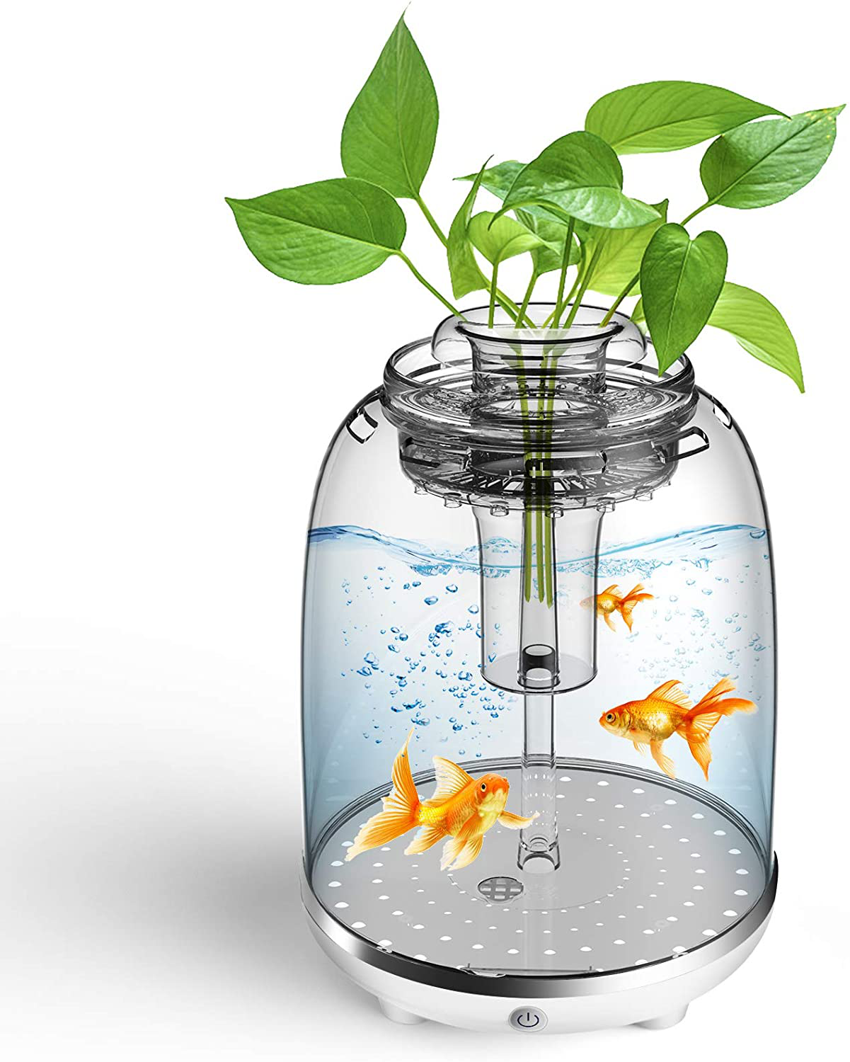 Fish Tank Aquarium Starter Kits 1.45-Gallon Small Aquarium with Automa –  KOL PET