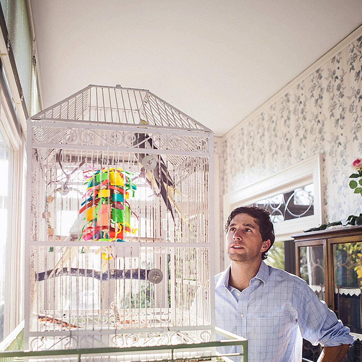 MEWTOGO Medium Bird Parrot Toys - Multicolored Wooden Blocks Tearing Toys for Conures Cockatiels African Grey Foraging and Amazon Parrot Toys Animals & Pet Supplies > Pet Supplies > Bird Supplies > Bird Toys MEWTOGO