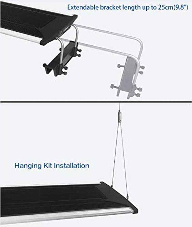 Qmaven II Zetlight 160W LED 34.6" Reef Aquarium Light Animals & Pet Supplies > Pet Supplies > Fish Supplies > Aquarium Lighting Zetlight