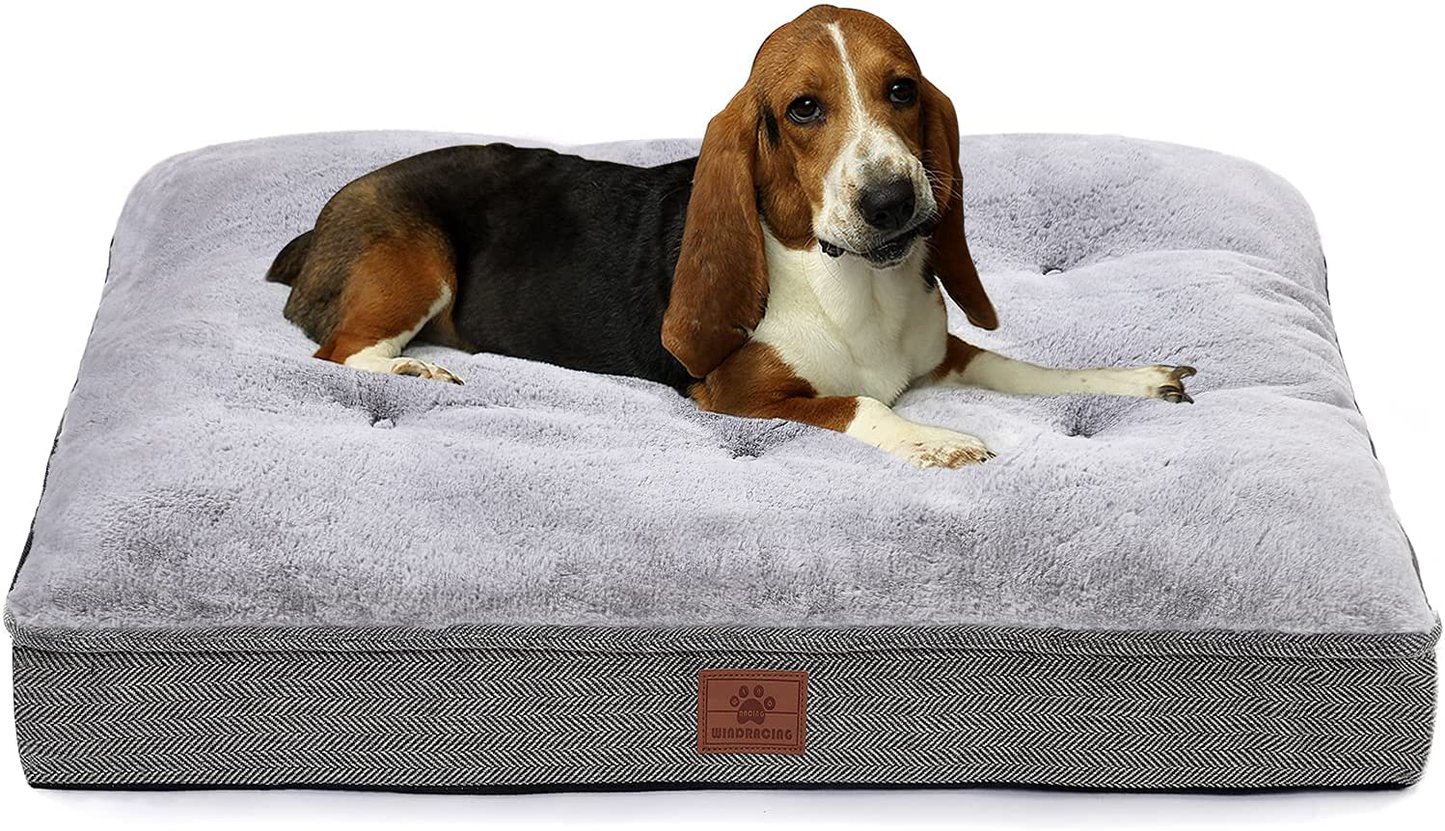 Dog Bed for Large Dogs and Medium Dogs.One Dog Bed +One Dog Bed Cover.Dog Crate Bed,Dog Mat with Waterproof Urine Proof Liner.Luxury and Super Soft Dog Bed. Grey. Windracing Pet Bed Animals & Pet Supplies > Pet Supplies > Dog Supplies > Dog Beds WINDRACING