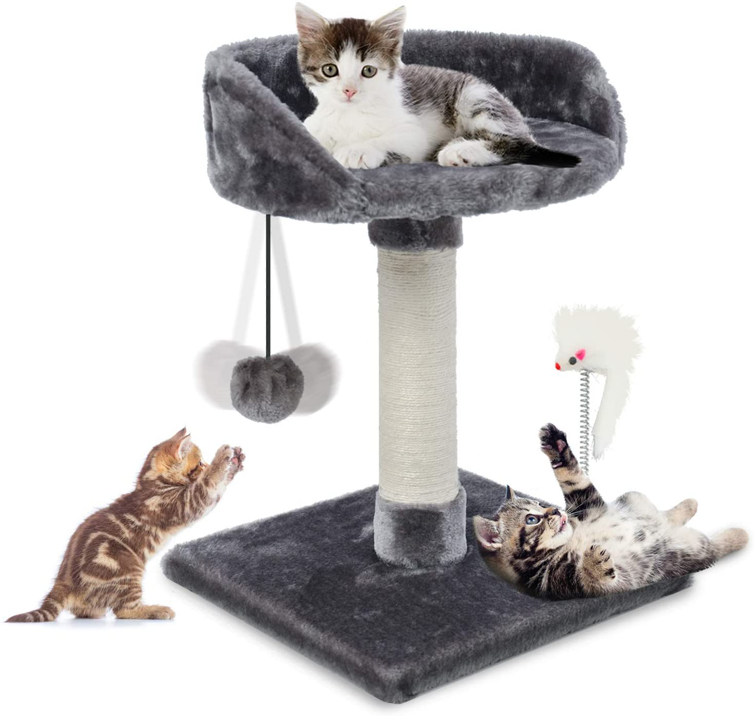 Cat Toy, Cat Play Mat Activity Pet Kitten Padded Bed Cat Play Center with  Hanging Toy Balls and Mice for Cats