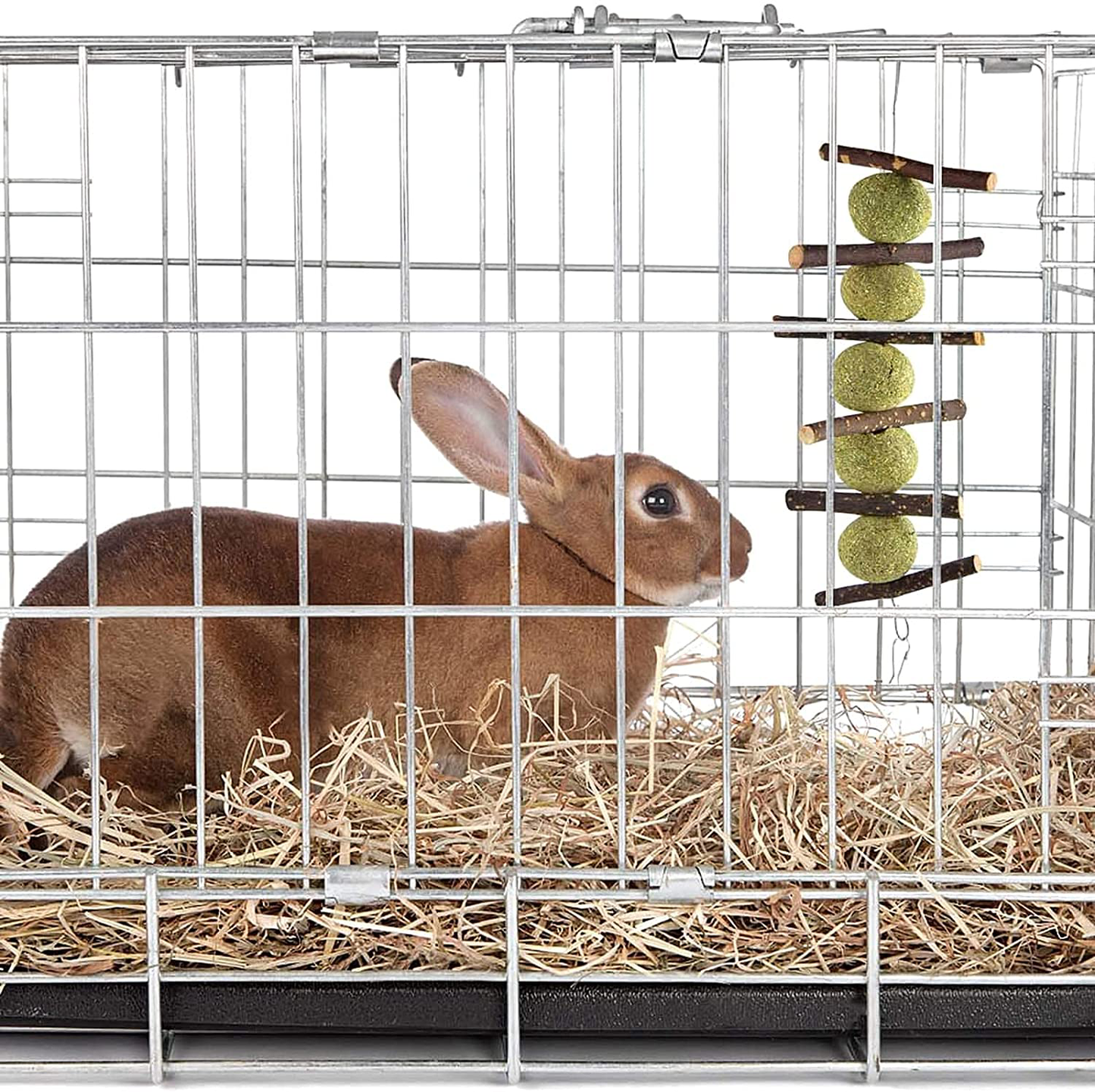 Rabbit Toys, Bunny Chew Toy for Teeth & Gnawing Treats, 100% Natural Organic Wood Apple Sticks and Timothy Hay Balls, Carrot Toys for Rabbit, Bunny,Chinchillas, Guinea Pigs, Hamsters, Rodent Animals & Pet Supplies > Pet Supplies > Small Animal Supplies > Small Animal Treats WoLover