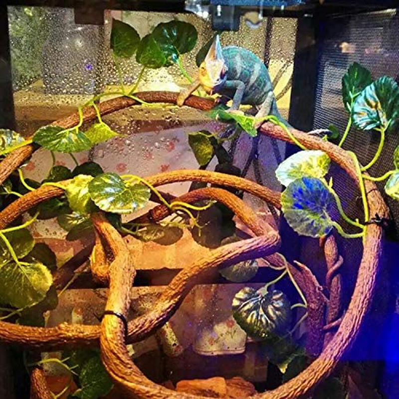 PINVNBY Bearded Dragon Accessories Lizard Hammock Jungle Climber Vines Flexible Leaves Habitat Reptile Decor for Climbing, Chameleon, Lizards, Gecko, Snakes Animals & Pet Supplies > Pet Supplies > Reptile & Amphibian Supplies > Reptile & Amphibian Habitat Accessories PINVNBY