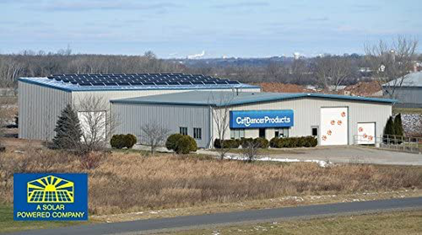 Rainbow Cat Charmer, Durable and Safe, 1 Count Animals & Pet Supplies > Pet Supplies > Dog Supplies > Dog Treadmills Cat Dancer Products