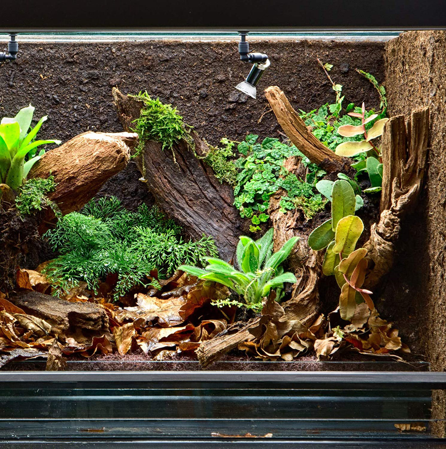 Mandala Crafts Reptile Heat Lamp Light Bulb with UVB UVA Halogen Basking Lightbulb for Turtle, Lizard, Tortoise, Amphibian Habitat Terrarium Aquarium 6-Pack 50-Watt E26 Base Animals & Pet Supplies > Pet Supplies > Reptile & Amphibian Supplies > Reptile & Amphibian Substrates Mandala Crafts