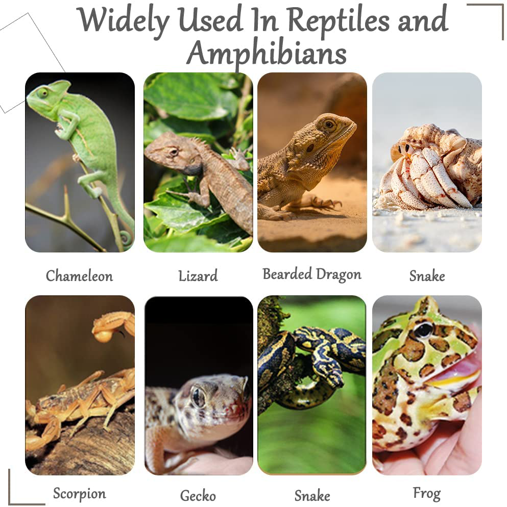 Hamiledyi Reptile Plants Bendable Jungle Climbing Vine Terrarium Branch Flexible Plastic Leaves Hanging Pet Habitat Decoration for Bearded Dragon Lizard Gecko Frog Snake Tank Accessories Decor Animals & Pet Supplies > Pet Supplies > Reptile & Amphibian Supplies > Reptile & Amphibian Habitat Accessories Hamiledyi