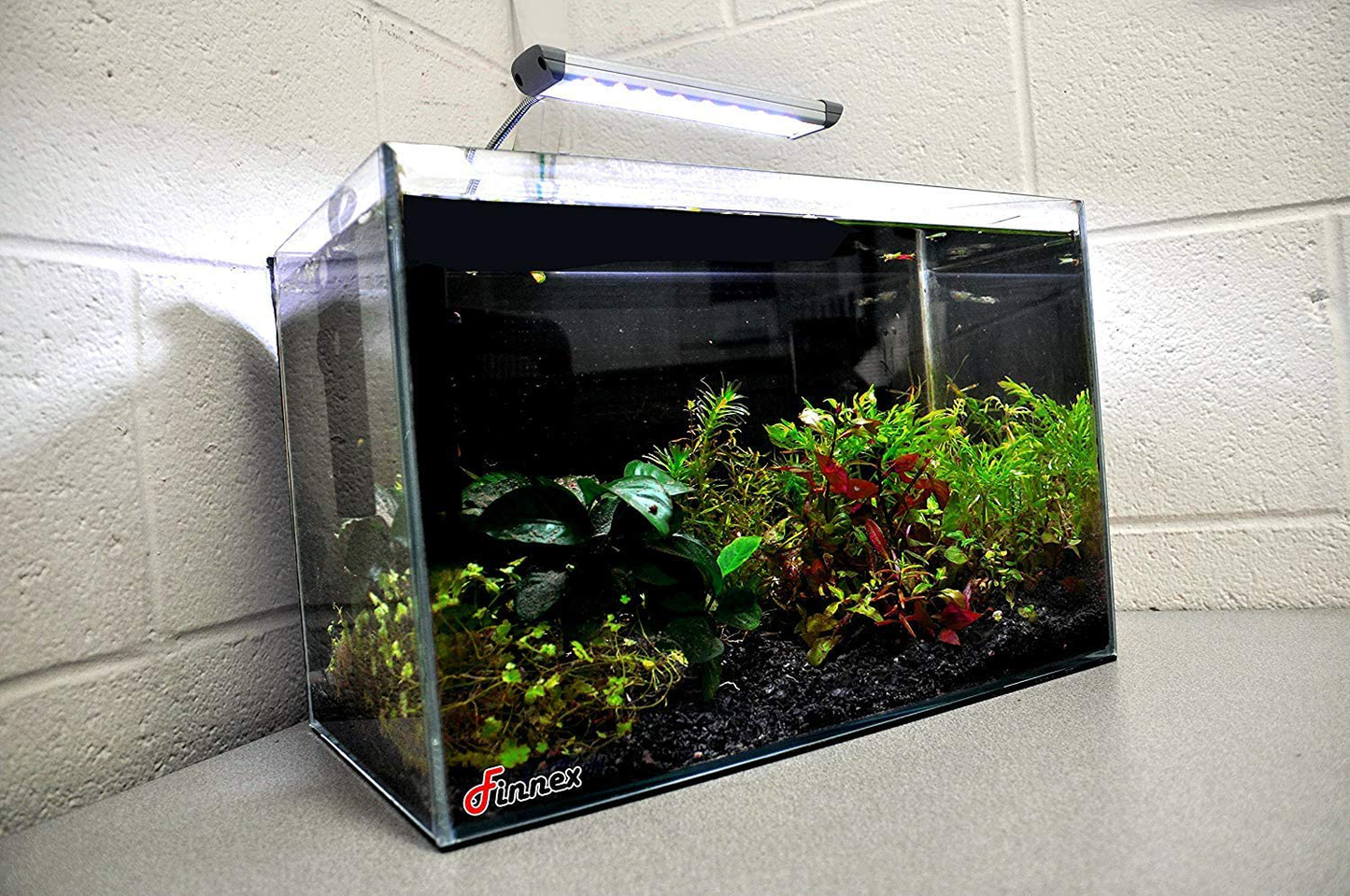 Finnex Fugeray Planted+ Aquarium LED Light plus Moonlights, Cliplight Animals & Pet Supplies > Pet Supplies > Fish Supplies > Aquarium Lighting Finnex