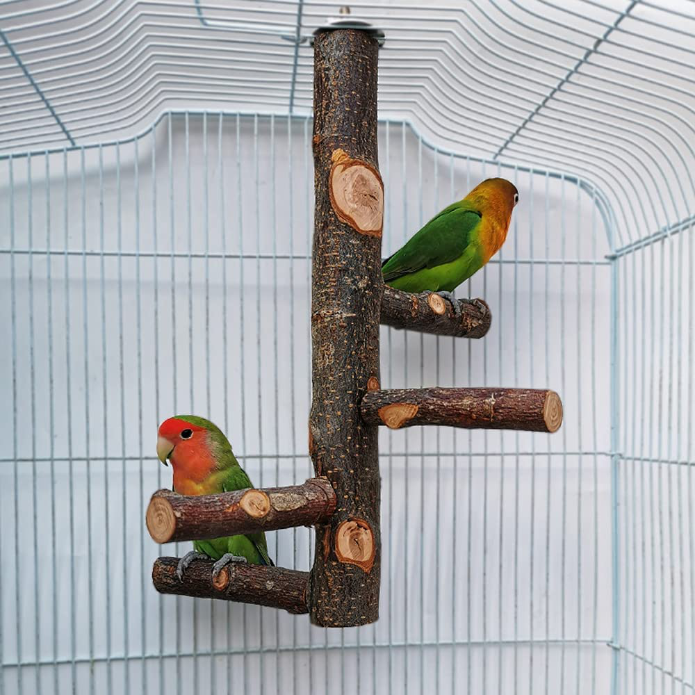 Qeeheng Bird Stand Perch,Natural Wood Parrot Perch Bird Cage,Bird Cage Perches for Parrots,Small Parakeets Cockatiels, Macaws, Parrots, Love Birds, Finches Animals & Pet Supplies > Pet Supplies > Bird Supplies > Bird Cages & Stands QeeHeng