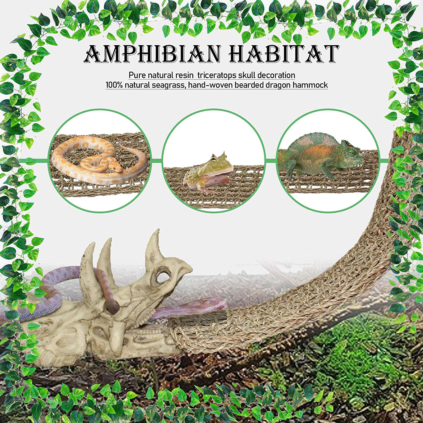 PINVNBY Reptiles Bearded Dragon Tank Accessories Resin Dinosaur Triceratops Skull Hide Amphibians Habitat Hammock Hideouts Cave Aquarium Decorations for Lizard Chameleon Snake Frog Spider Gecko Animals & Pet Supplies > Pet Supplies > Reptile & Amphibian Supplies > Reptile & Amphibian Habitat Accessories PINVNBY