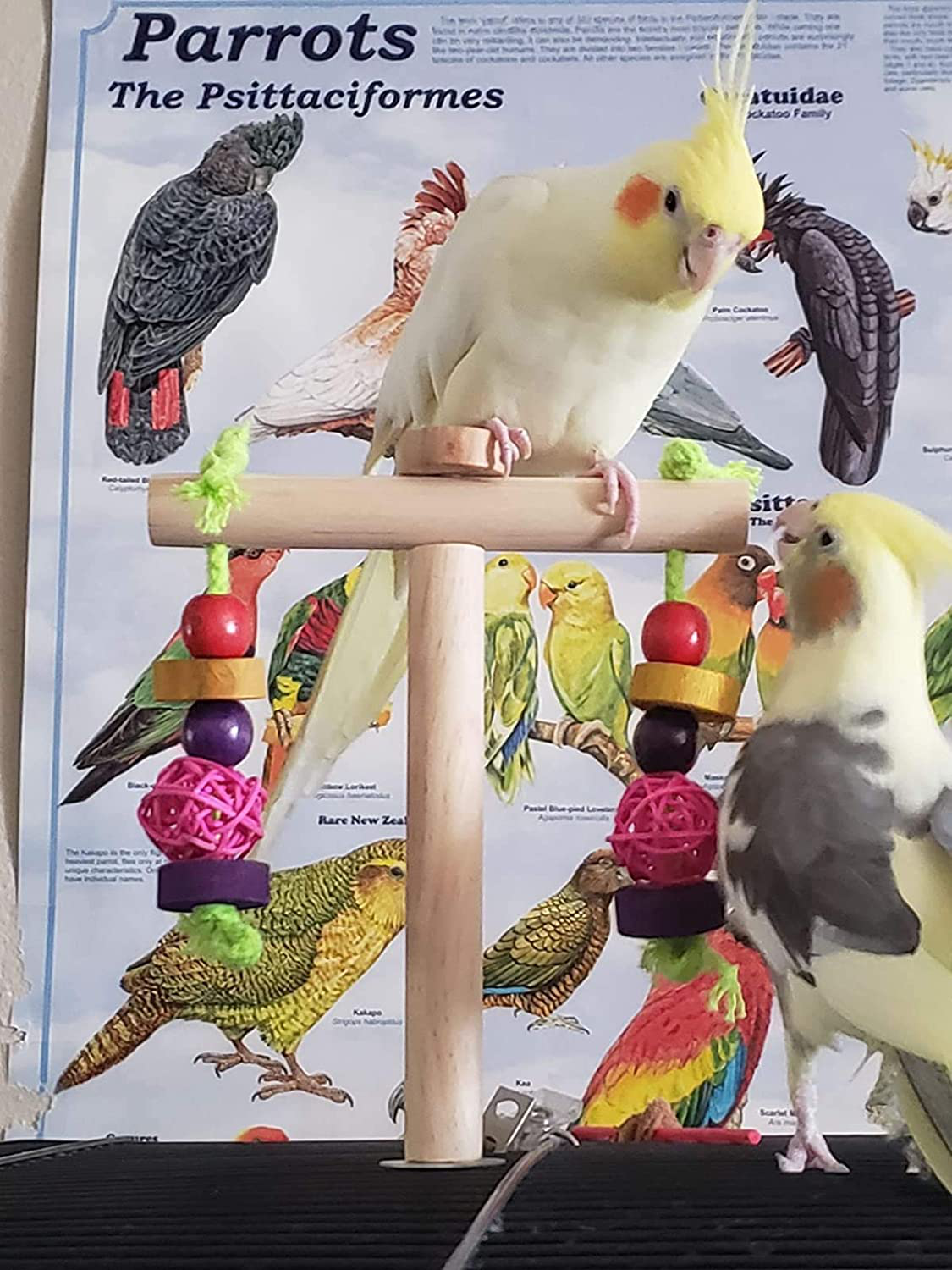 Mrli Pet Play Stand for Birds-Parrot Playstand Bird Play Stand Cockatiel Playground Wood Perch Gym Playpen Ladder with Feeder Cups Toys Exercise Play Animals & Pet Supplies > Pet Supplies > Bird Supplies > Bird Gyms & Playstands Mrli Pet