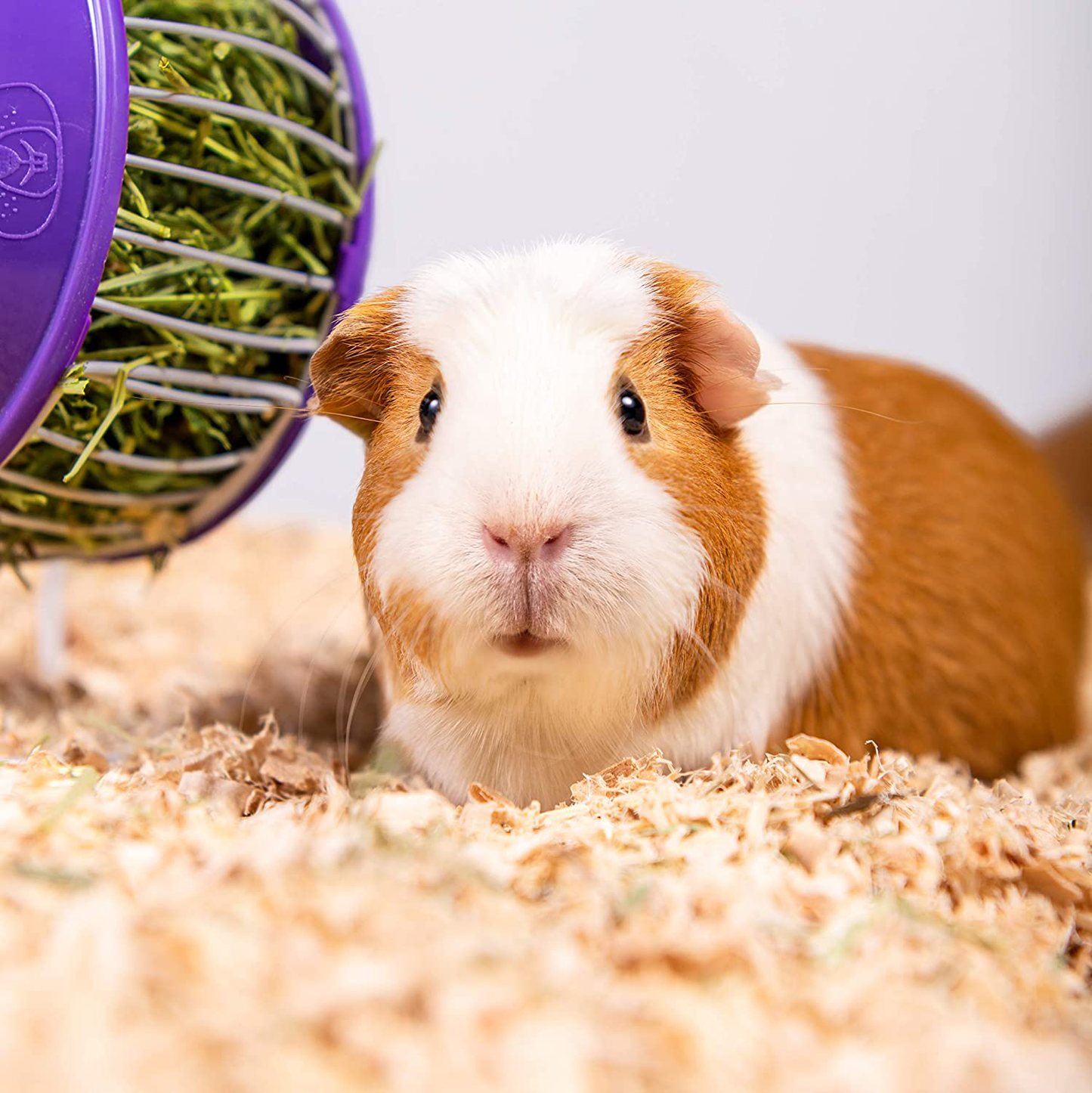 PETSPICK Aspen Soft Pet Bedding for Small Animals Animals & Pet Supplies > Pet Supplies > Small Animal Supplies > Small Animal Bedding American Wood Fibers