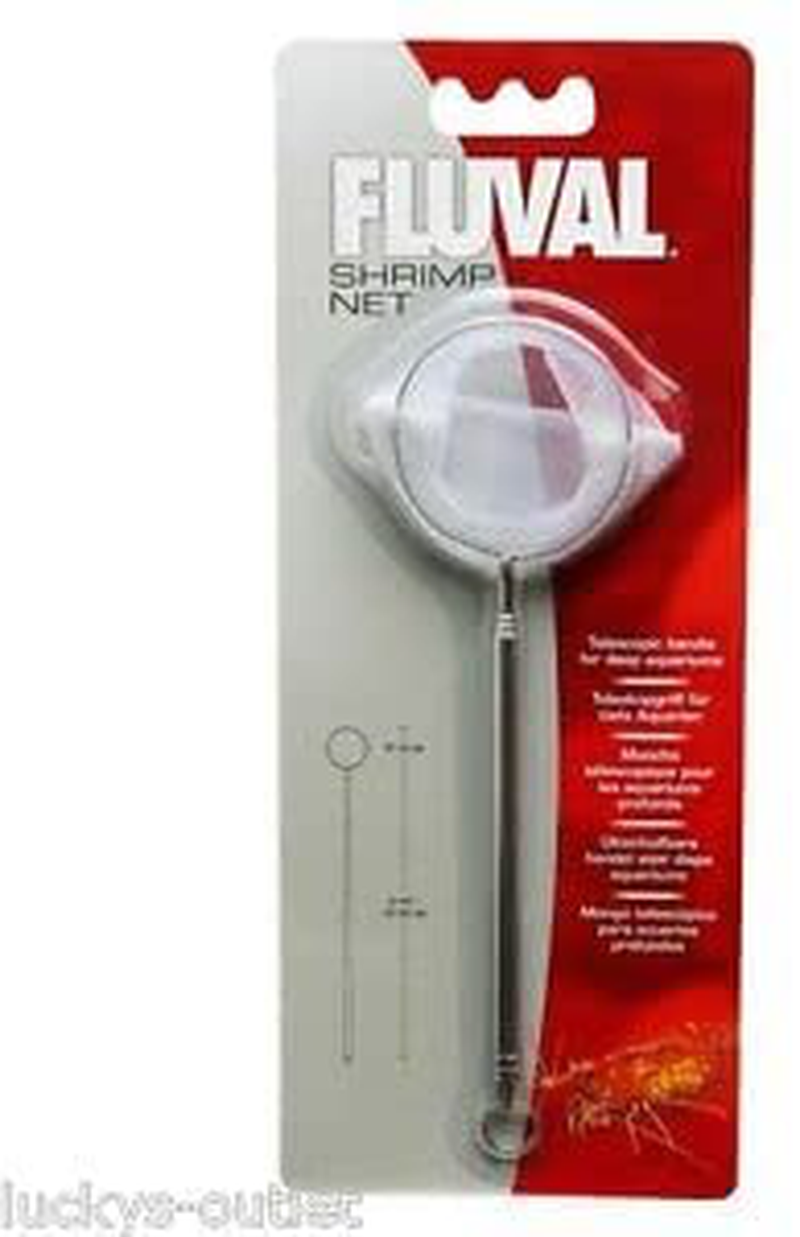 Hagen Telescopic Shrimp Net for Fish Aquariums Animals & Pet Supplies > Pet Supplies > Fish Supplies > Aquarium Fish Nets rianiq07