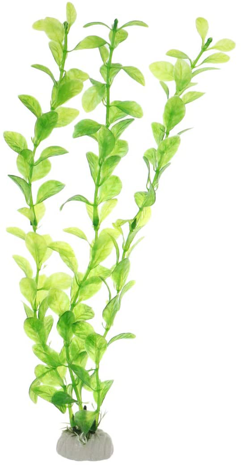 Bitray Plastic Aquarium Plant Set, 10 Inches High Green Water Grass Life-Like Attractive Decor, Fish Tank Plant Decorations, Artificial Water Plants for Aquarium, 3 PCS Animals & Pet Supplies > Pet Supplies > Fish Supplies > Aquarium Decor Bitray