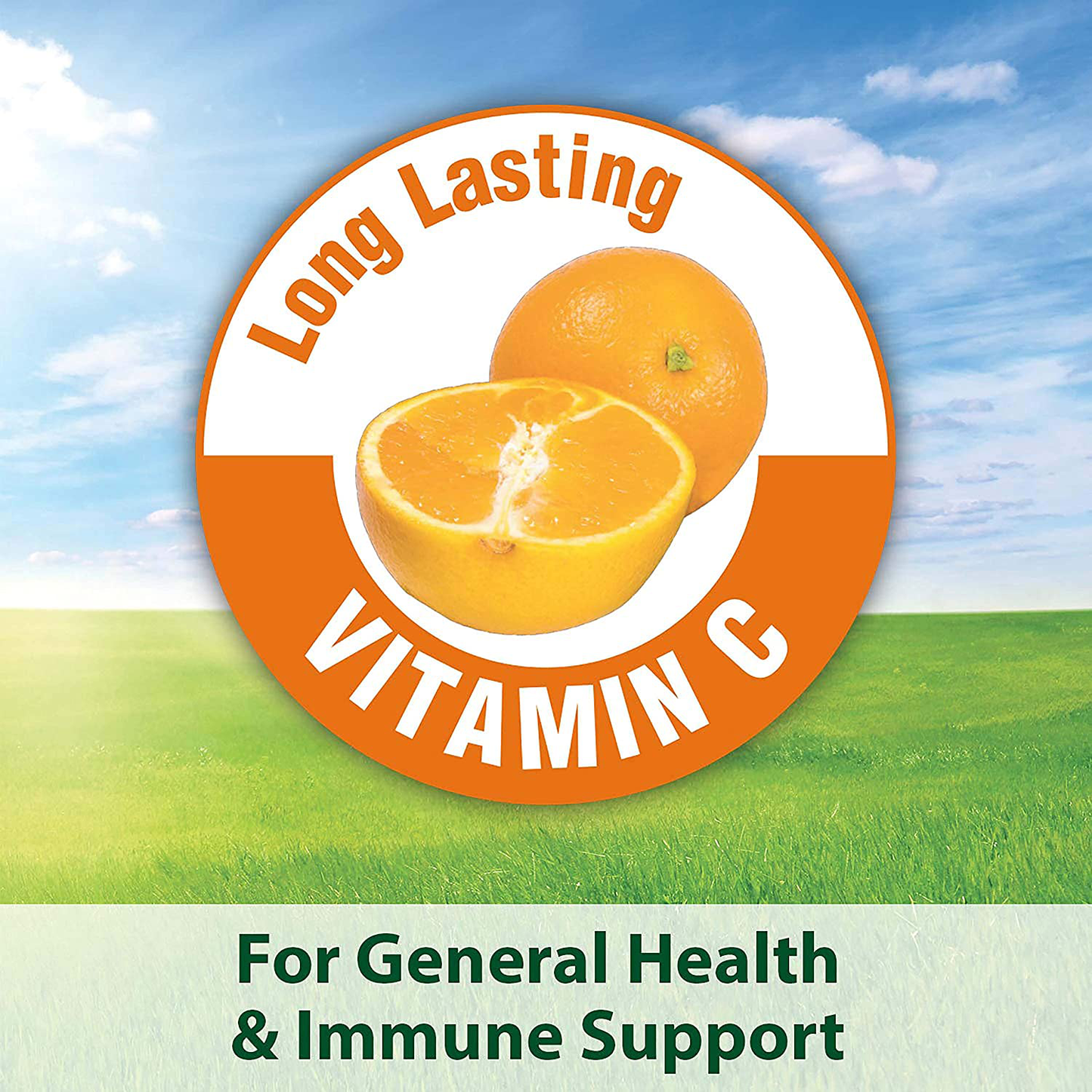 Kaytee Fiesta Guinea Pig Food Animals & Pet Supplies > Pet Supplies > Small Animal Supplies > Small Animal Food Kaytee